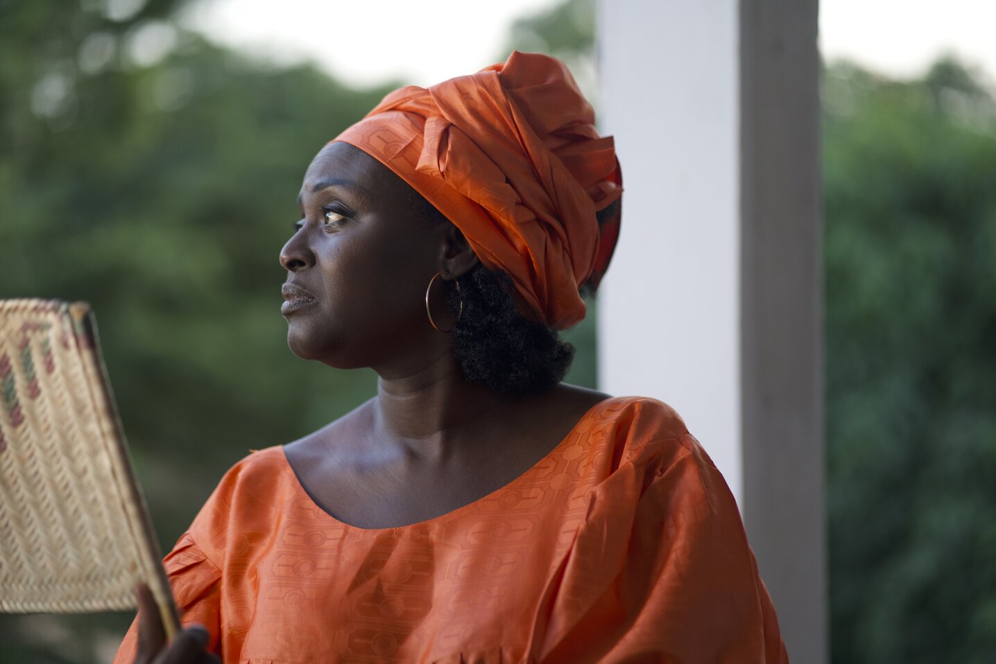Next Stop BAM for the New York African Film Festival (NYAFF)